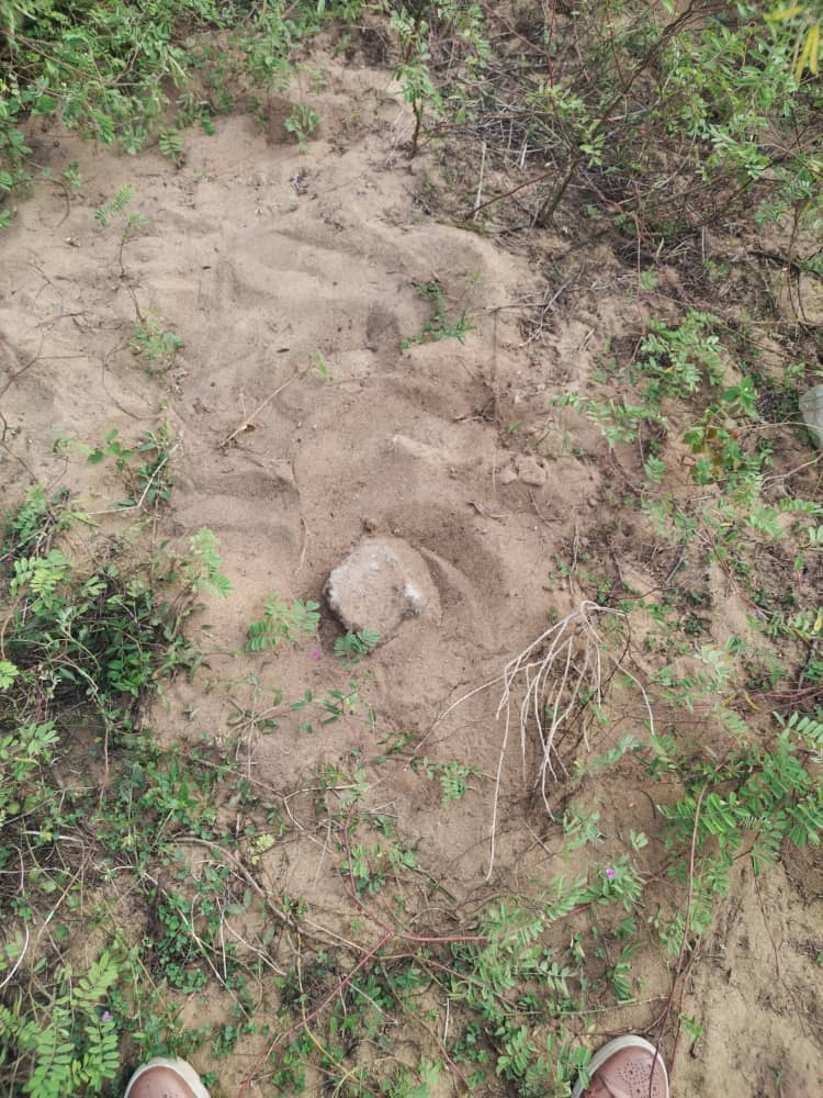 VENTE À GRAND-BASSAM MONDOUKOU : 2 LOTS DE TERRAINS À 900m DE MER