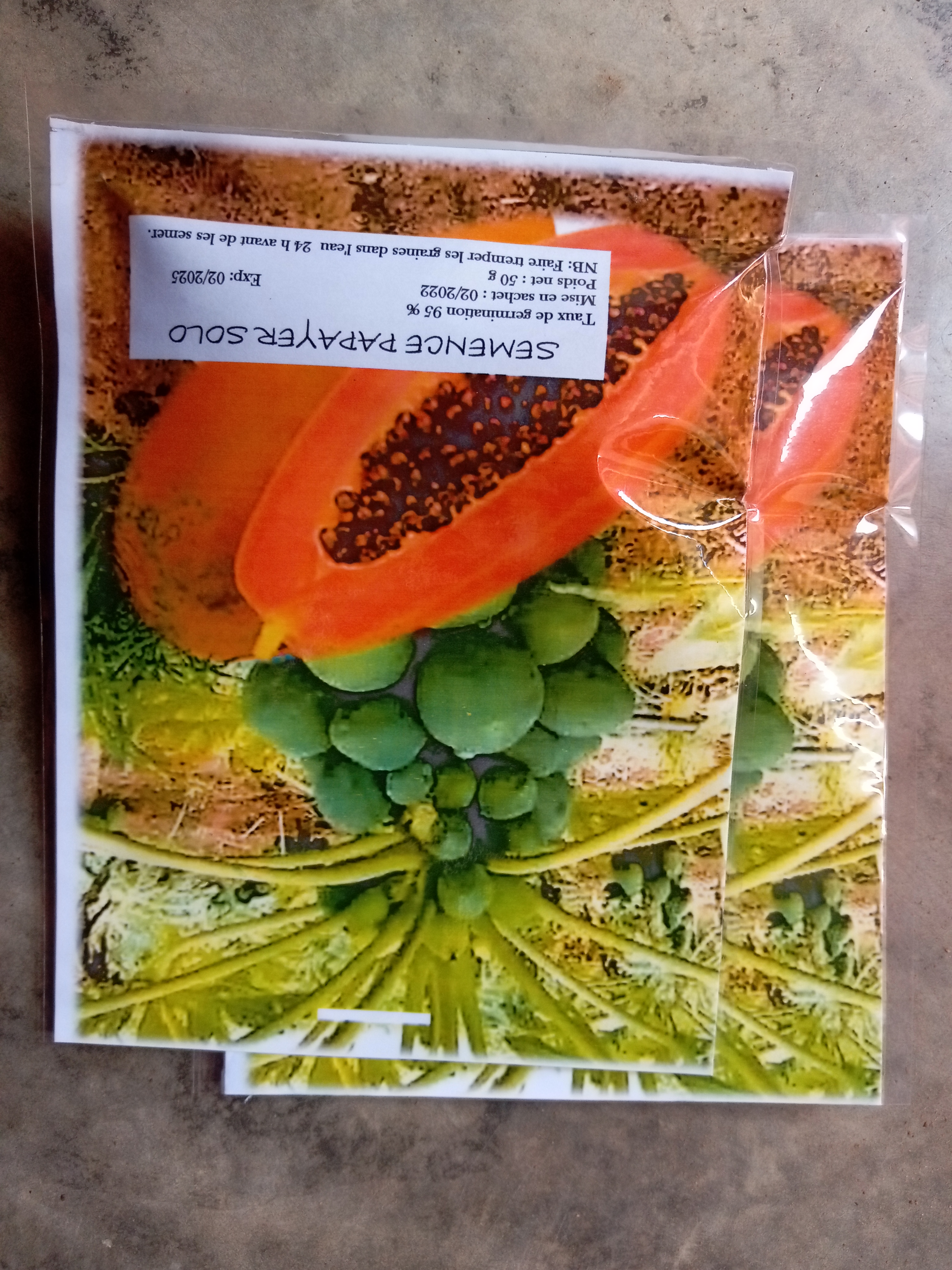 les semences de palmier TENERA F1 papaye nain goyave Thaïlandais.... les semences de palmier TENERA F1 papaye nain goyave Thaïlandais....