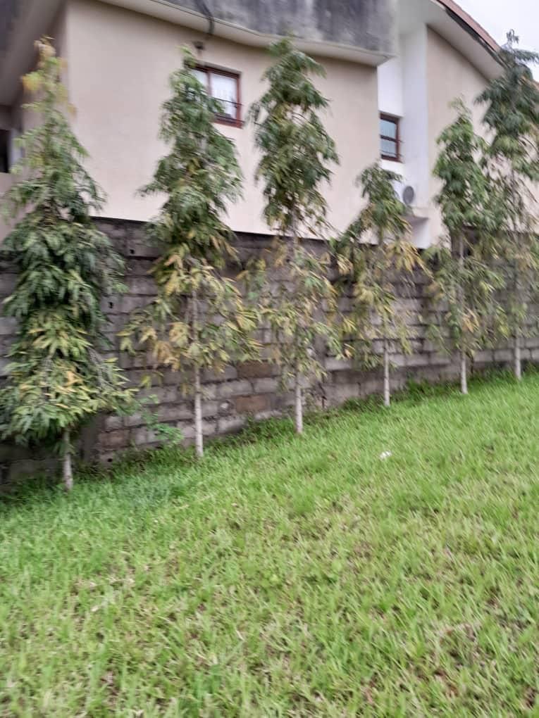 VENTE DE TERRAIN A LA RIVIERA ATTOBAN