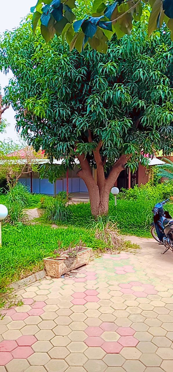 Duplex à louer à Ouaga 2000 Duplex à louer à Ouaga 2000