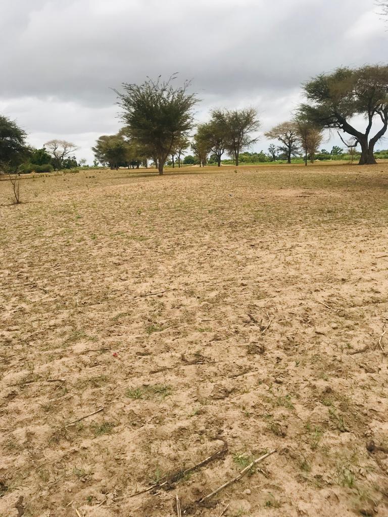 Terrain Agricole de 4286 m² à Sandiara