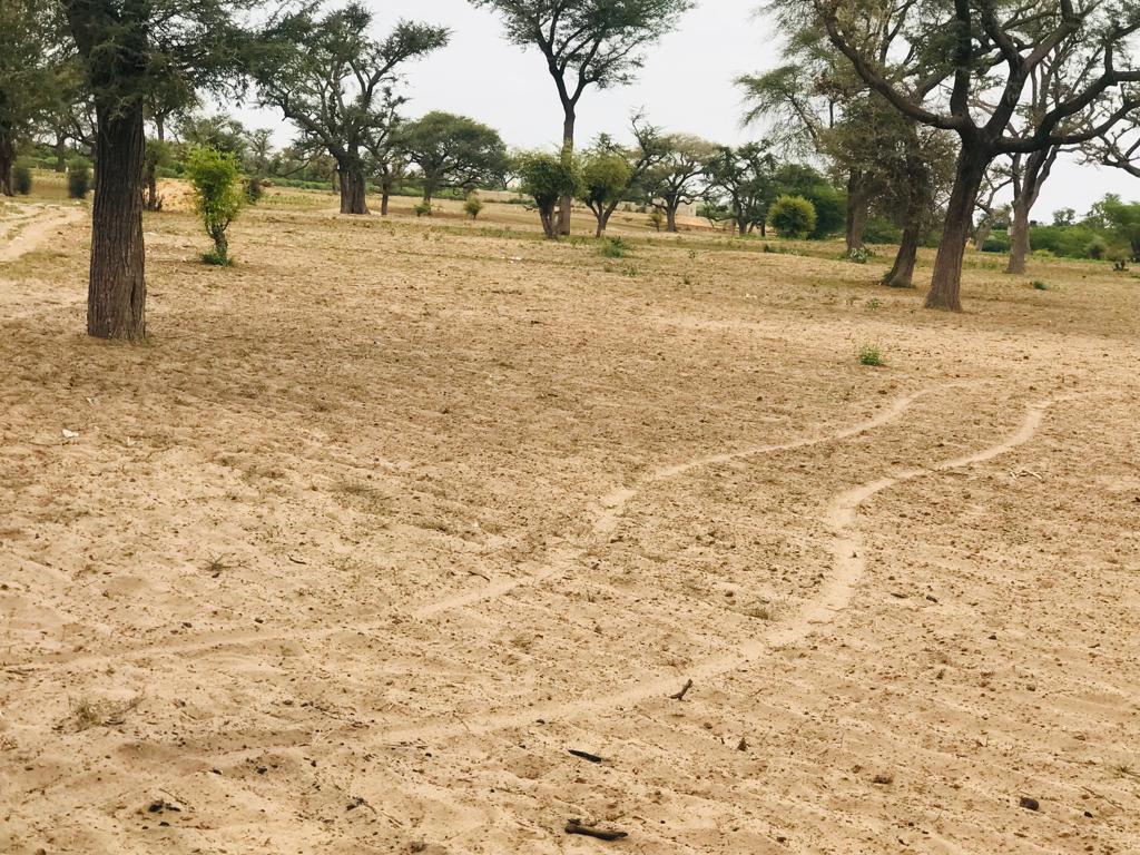 Terrain Agricole de 3326 m² à Sandiara