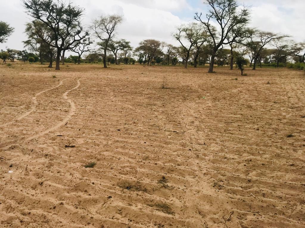 Terrain Agricole de 3326 m² à Sandiara