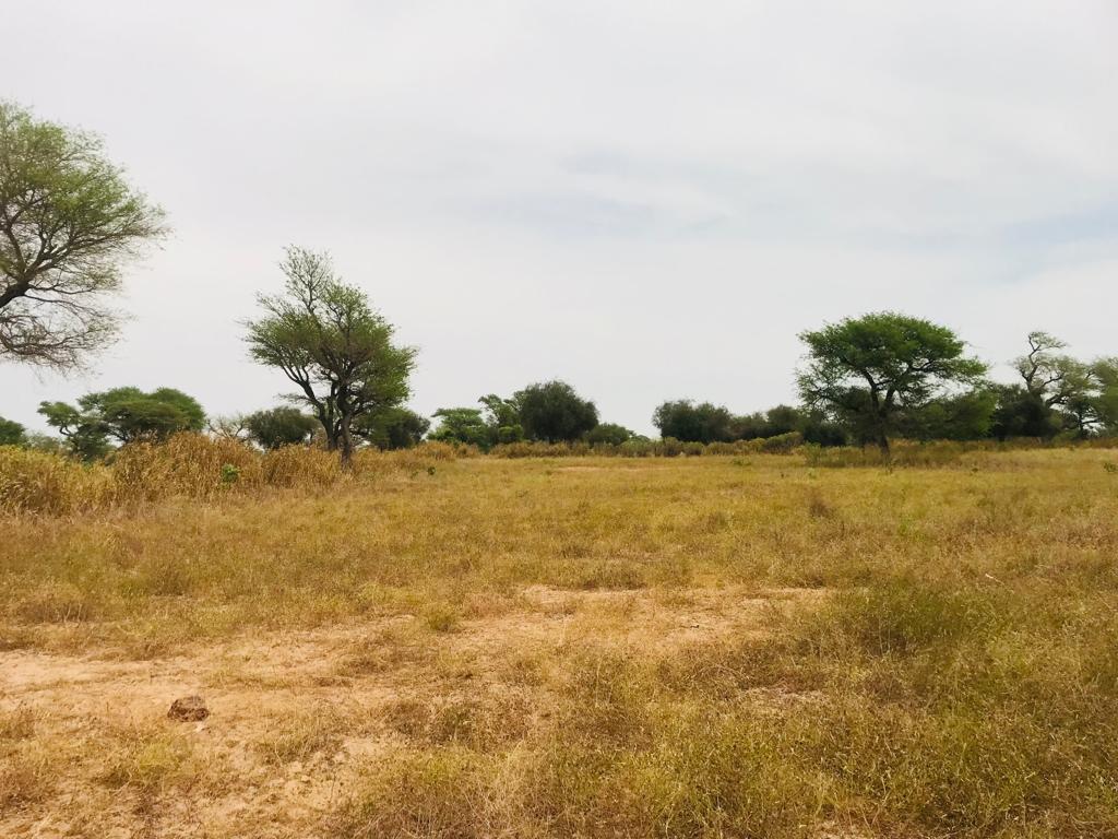 Terrain Agricole de 7397 m² à Touba Toul