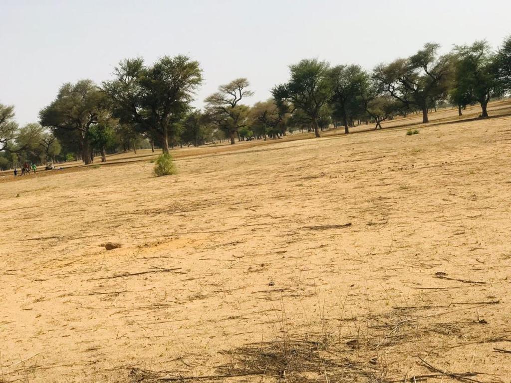 Terrain Agricole de 9070 m² à Touba Toul