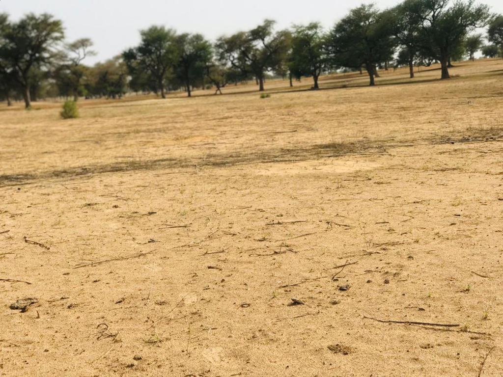 Terrain Agricole de 9070 m² à Touba Toul