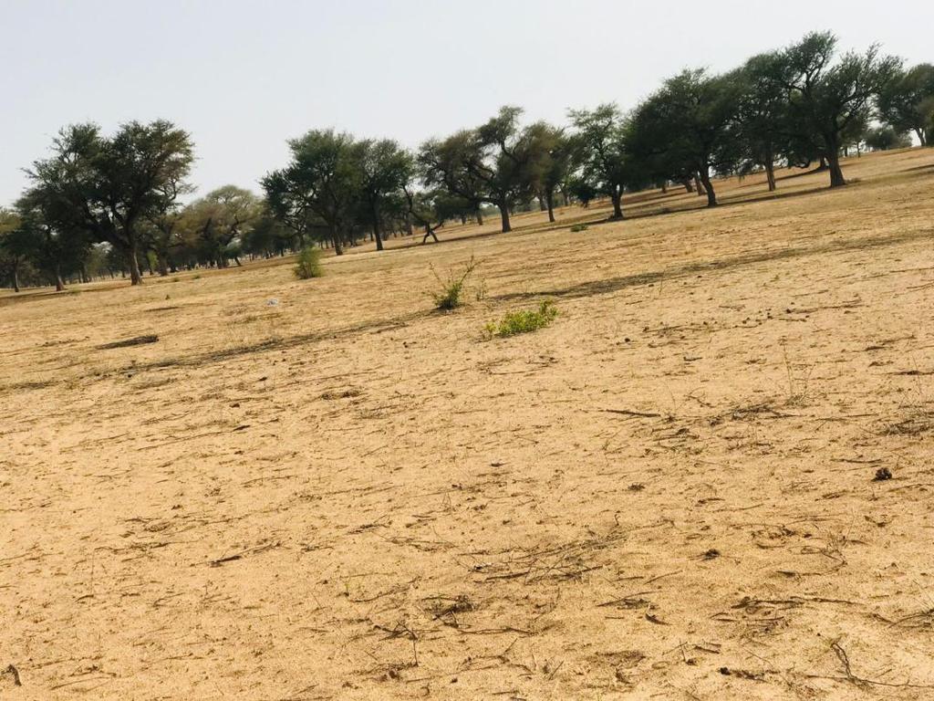 Terrain Agricole de 9070 m² à Touba Toul