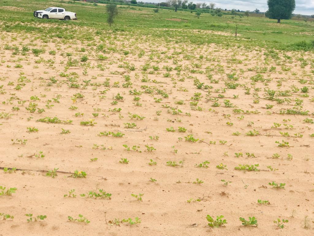 Terrain Agricole de 1 hectare Tassette