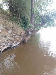 28 PARCELLES A VENDRE A KINTELE