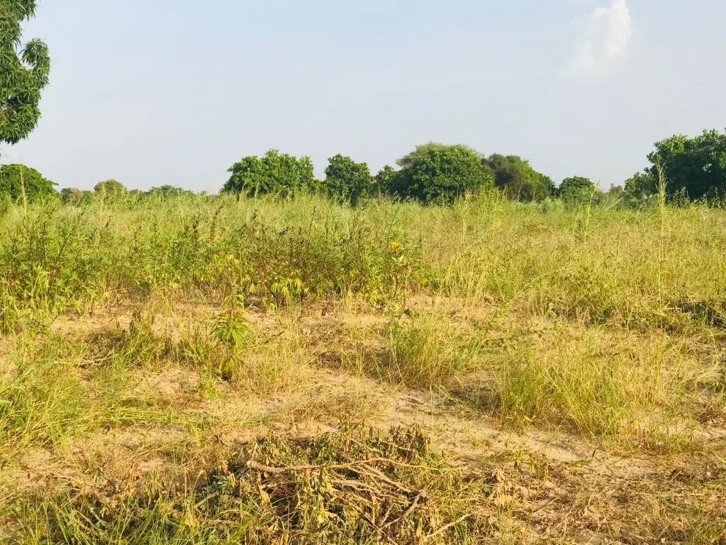Verger de 1,43 hectare à Pire