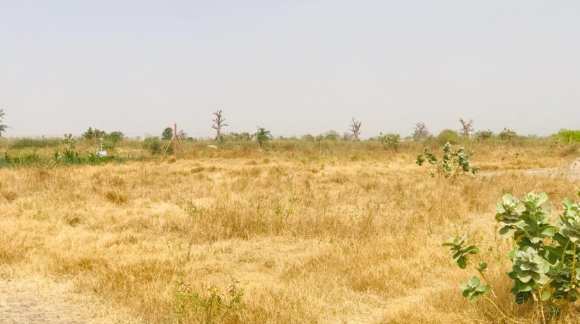Verger Agricole de 3,01 hectares à Ngueniene