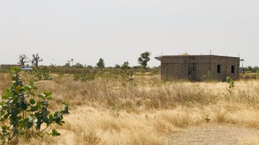 Verger Agricole de 3,01 hectares à Ngueniene