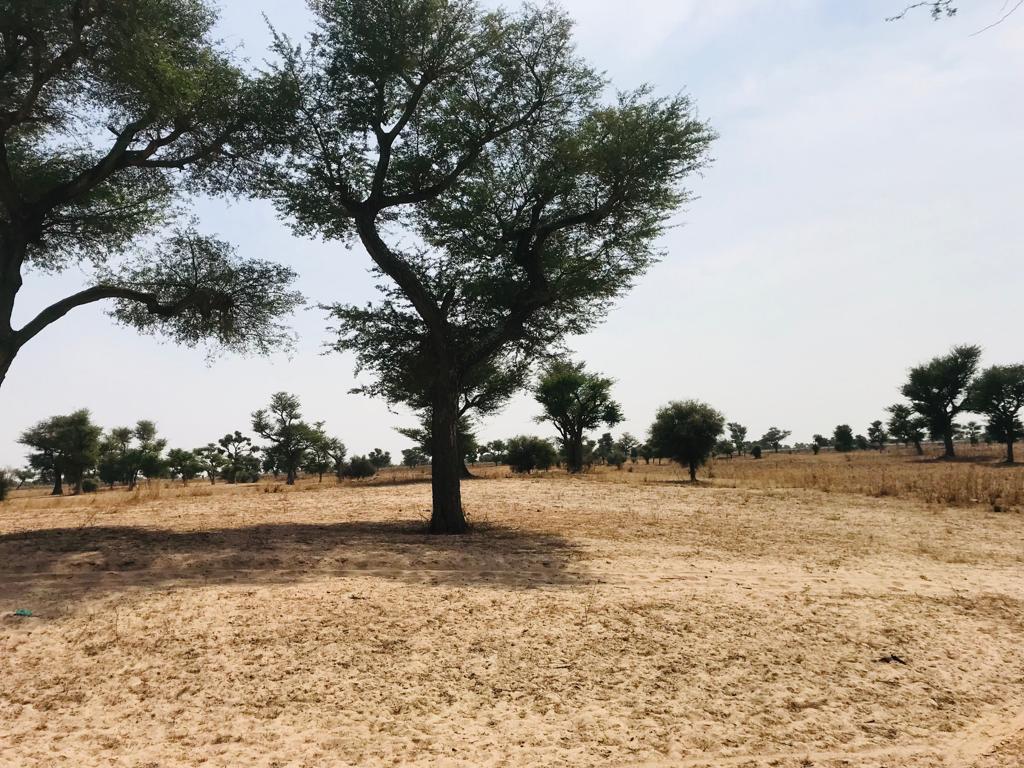 Terrain de 1,5 hectare à Touba Toul