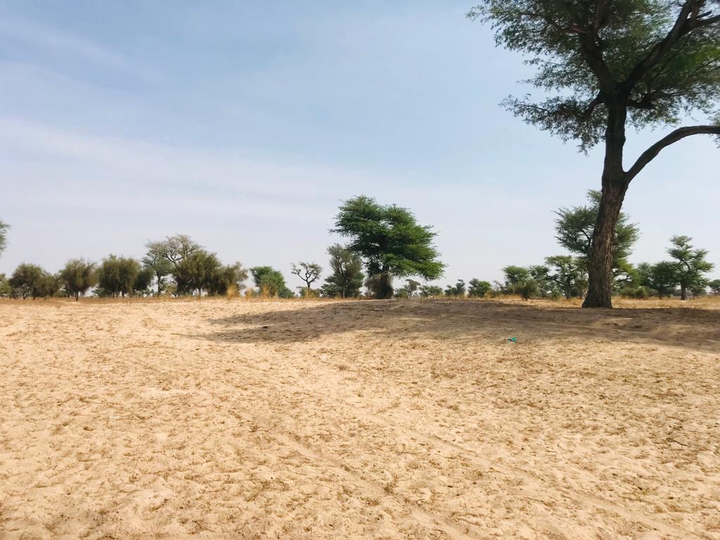 Terrain de 1,5 hectare à Touba Toul