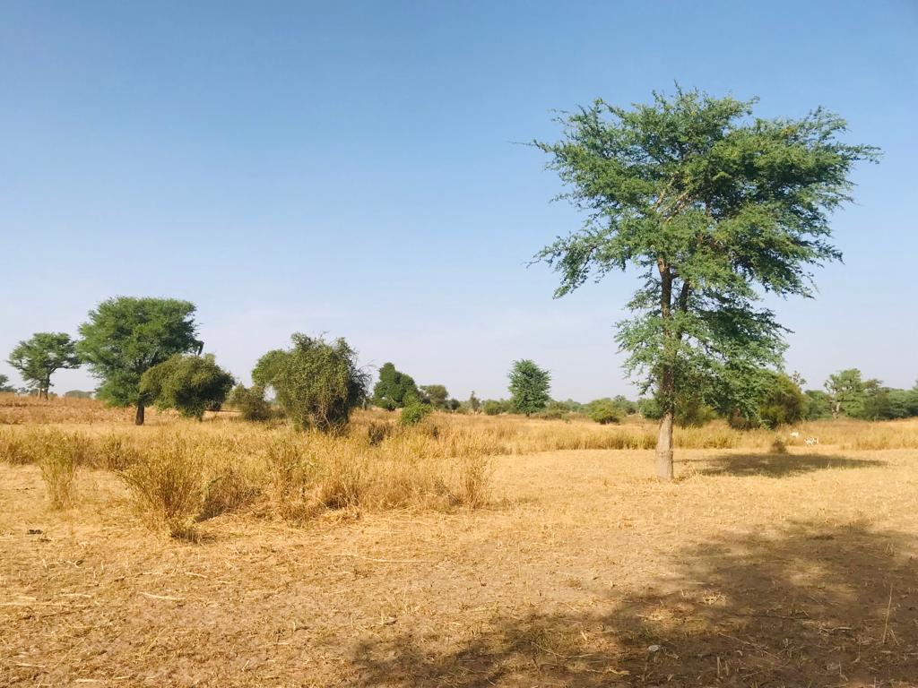 Terrain de 1,60 hectare à Tassette