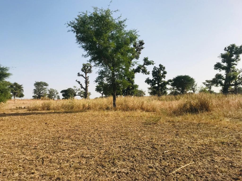 Terrain de 1,60 hectare à Tassette