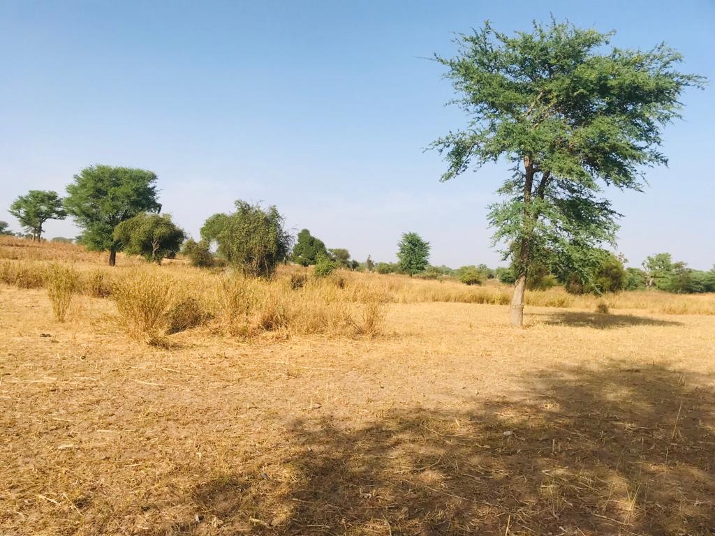 Terrain de 1,60 hectare à Tassette