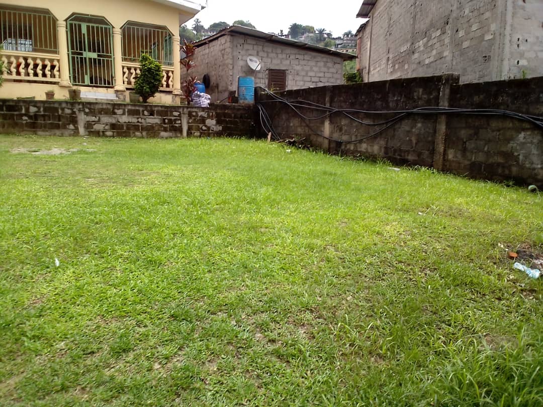 Cession 250 m2 avec Titre Foncier à Nzeng-Ayong Fromager Cession 250 m2 avec Titre Foncier à Nzeng-Ayong Fromager