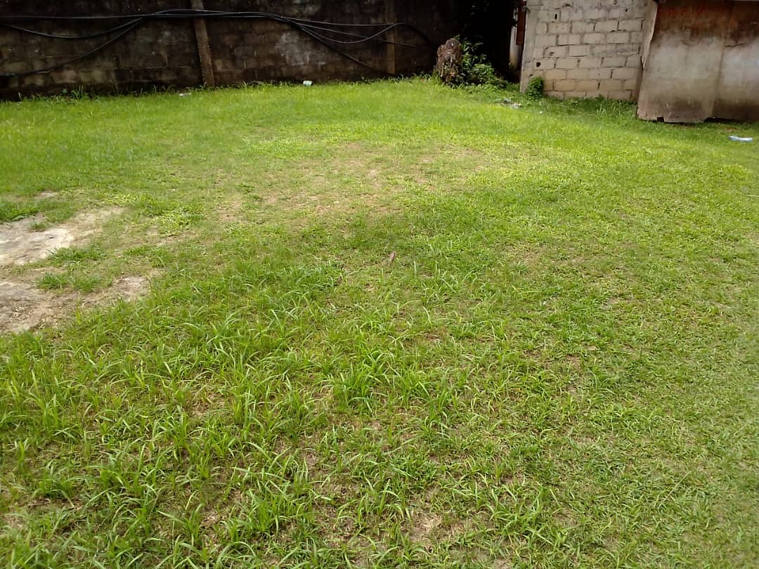 Cession 250 m2 avec Titre Foncier à Nzeng-Ayong Fromager