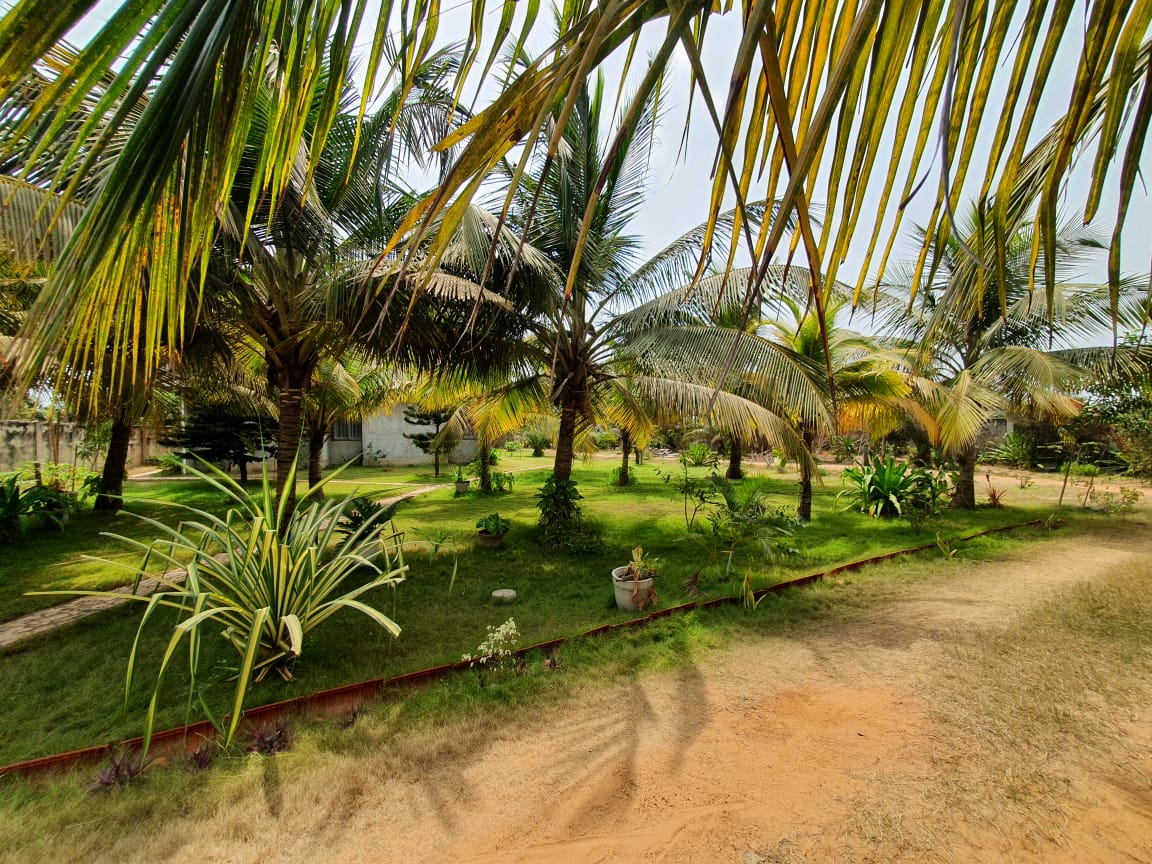 Immeuble à vendre à Baguida