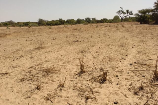 Terrain de 9 942 m² à Sandiara