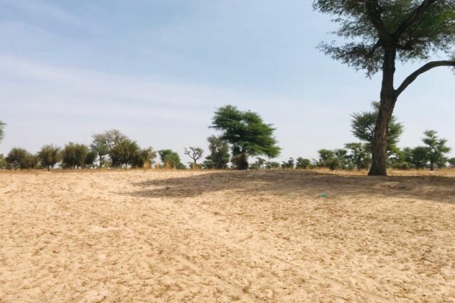Terrain de 1,5 hectare à Touba Toul