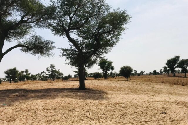 Terrain de 1,5 hectare à Touba Toul