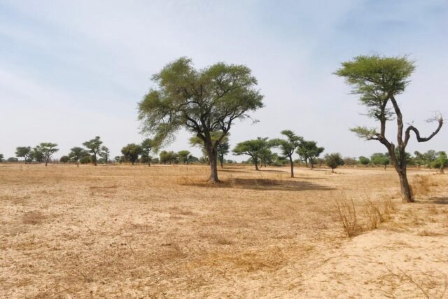 Terrain de 1,5 hectare à Touba Toul