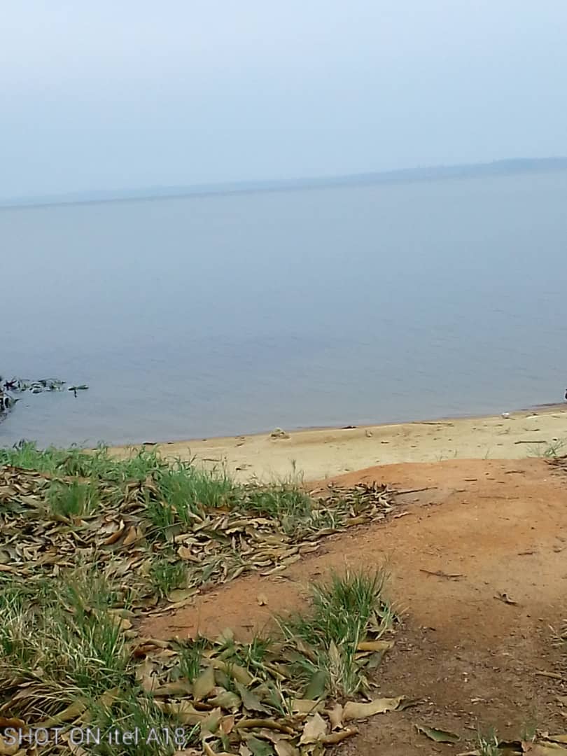 Parcelle 22ha sassandra en bordure du fleuve