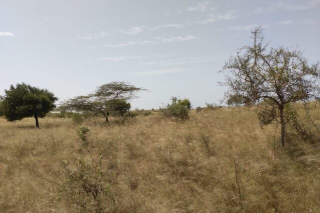 Terrain de 1 hectare à Darou Khoudoss