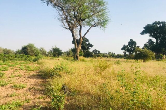 Verger Agricole de 1,91 hectare à Tassette