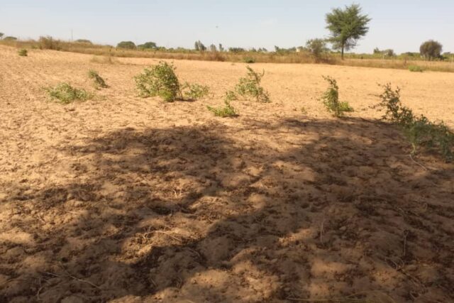 Terrain de 1,12 hectare à Tassette