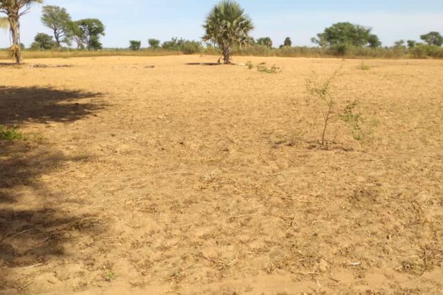 Terrain de 1,12 hectare à Tassette