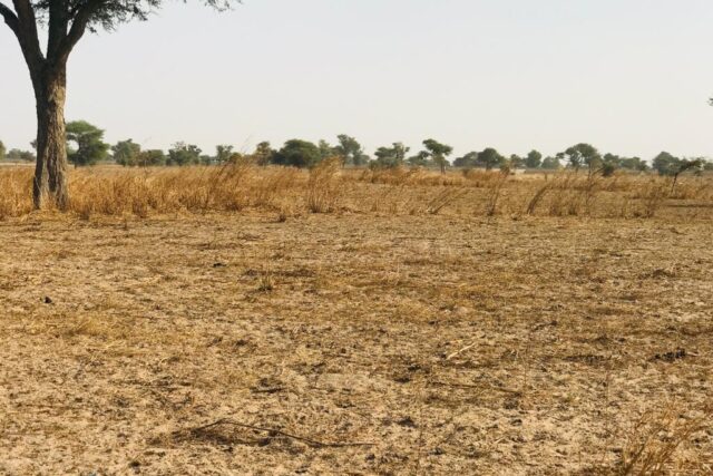 Terrain de 8 098 m² vers Touba Toul