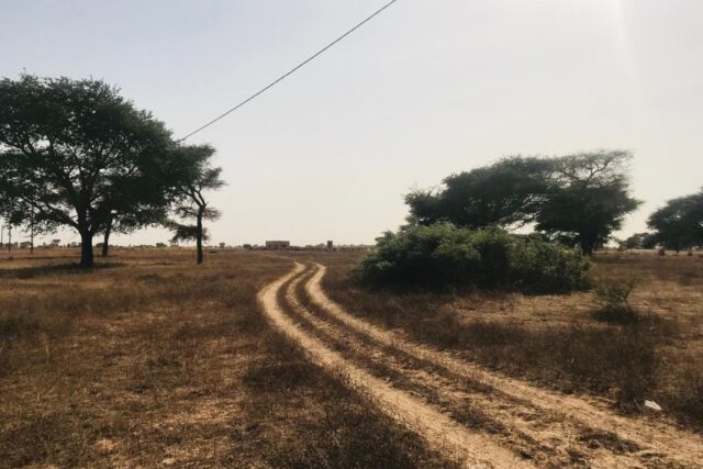 Terrain de 2,23 hectares à Chérif Lô