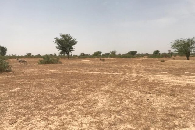 Terrain de 1,60 hectare à Fissel