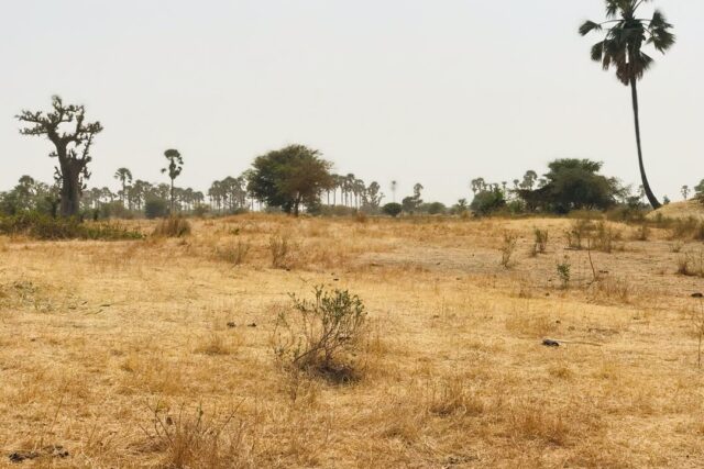 Terrain de 8997 m² à Samba Dia