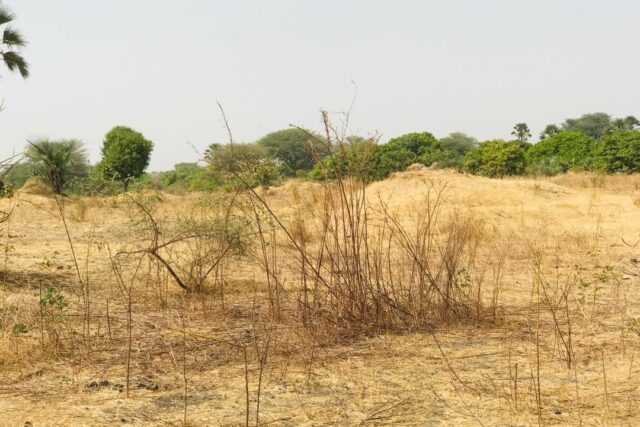 Terrain de 8997 m² à Samba Dia