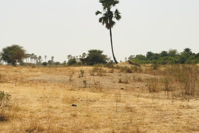 Terrain de 8997 m² à Samba Dia