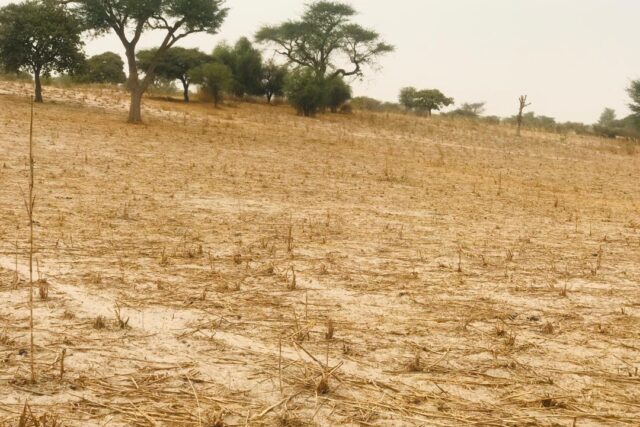 Terrain de 1,15 hectare à Thiénaba