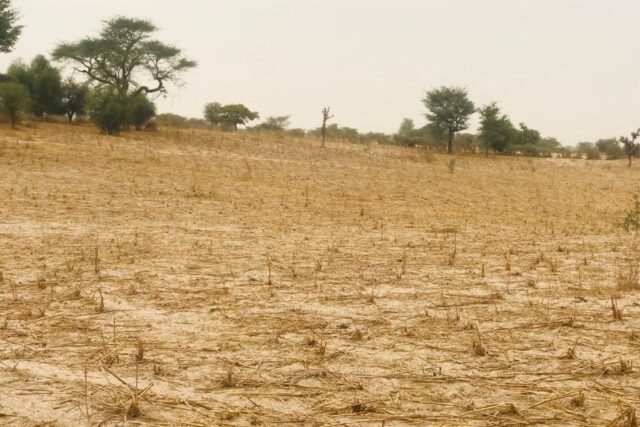 Terrain de 1,15 hectare à Thiénaba