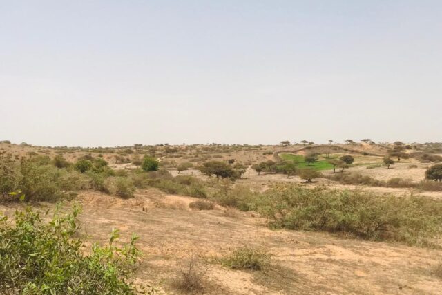 Terrain de 4,84 hectares à Kab Gaye