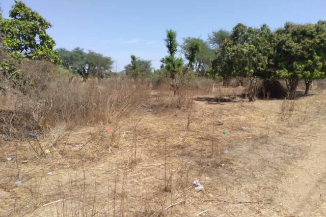 Verger Agricole de 3 106 m² vers Sandiara