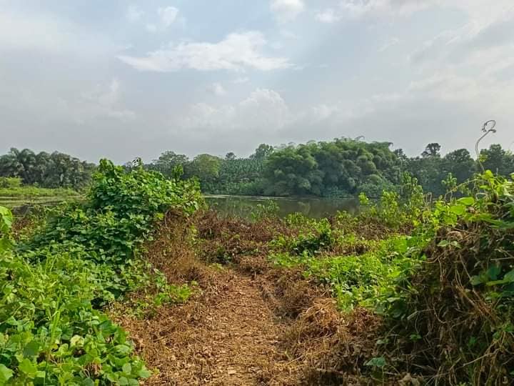 TERRAIN AZAGUIE-M'BROME TERRAIN AZAGUIE-M'BROME