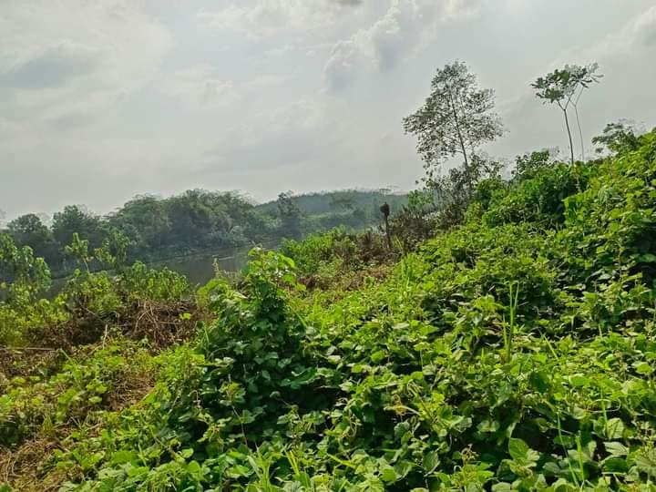 TERRAIN AZAGUIE-M'BROME