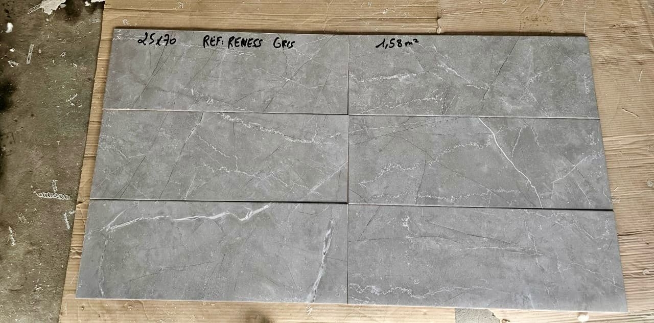 CERAMIQUE FAIENCE VITRIFIÉ 25X70