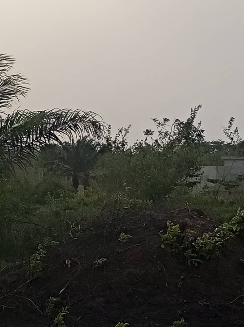 2 Hectares au bord du lac Ahémé à vendre à Kpossotomè