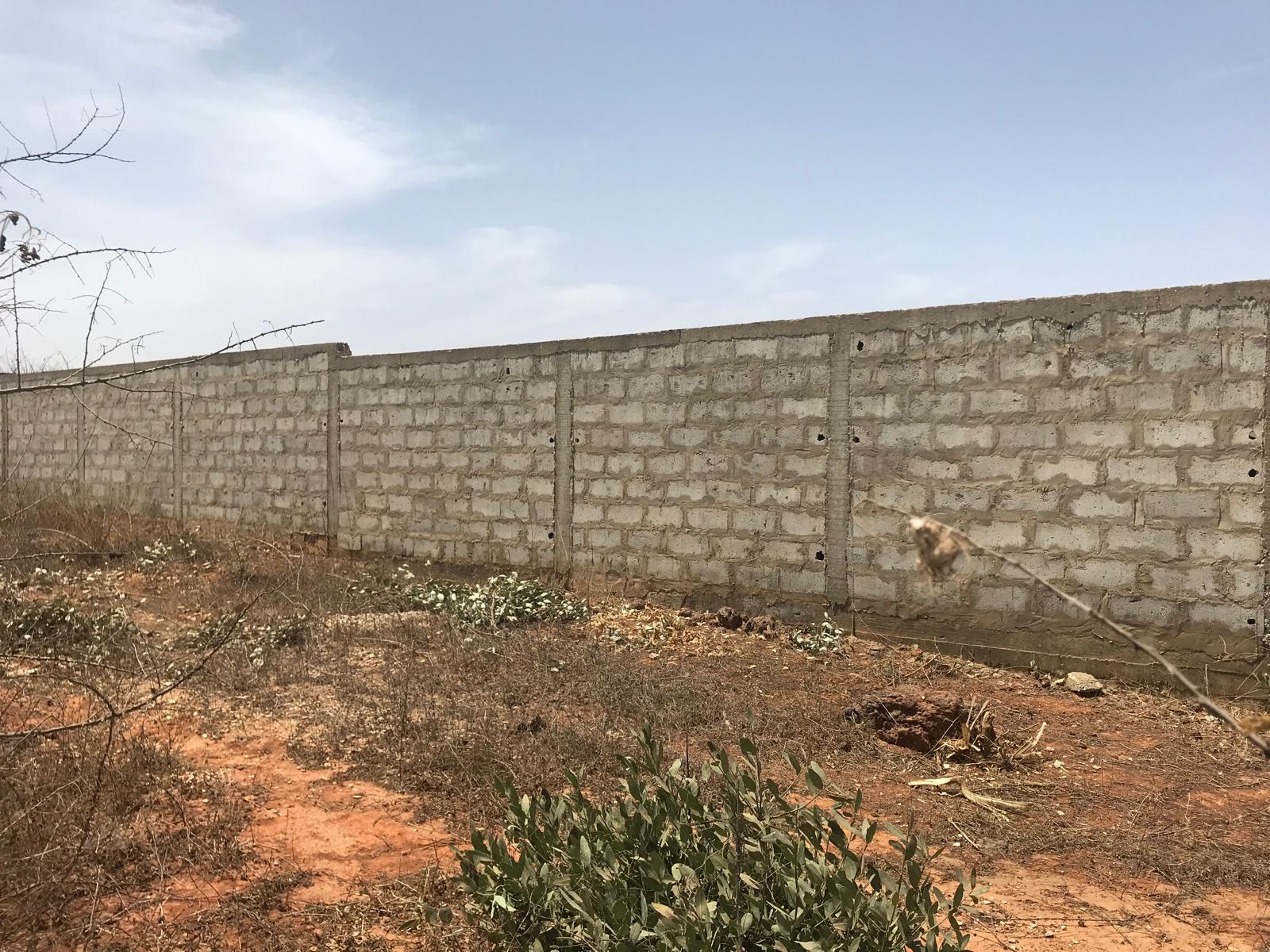 Terrain à vendre à Mboul - Keur Moussa - Km 50 - Route Dakar-Thiès