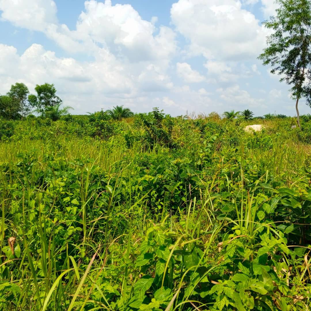 investir dans la confiance,vivez en sécurité