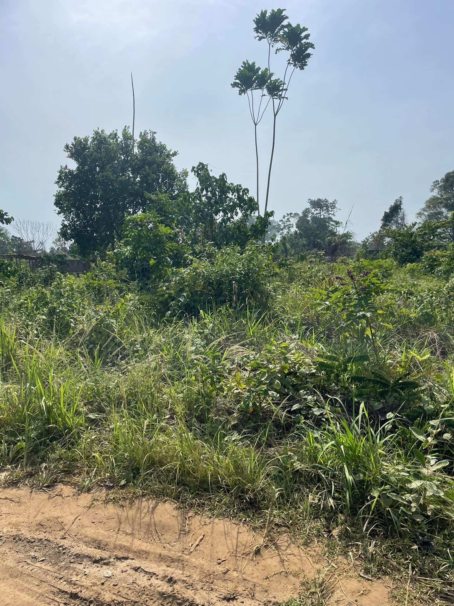 terrain titré à vendre